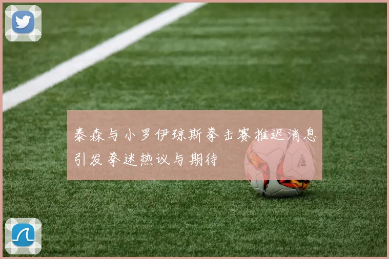 泰森与小罗伊琼斯拳击赛推迟消息引发拳迷热议与期待