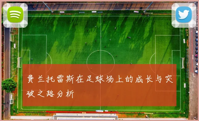 费兰托雷斯在足球场上的成长与突破之路分析