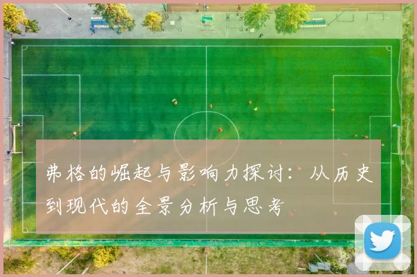弗格的崛起与影响力探讨：从历史到现代的全景分析与思考